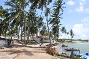 Praia de Barreiras  - Praias-360