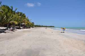 Praia de Hibiscus 