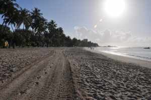 Praia dos Sete Coqueiros  - Praias-360