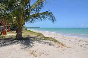 Praia de Dourado 