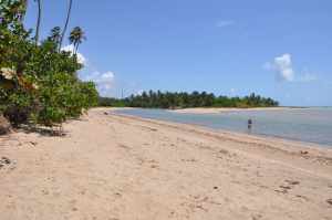 Praia do Camacho  - Praias-360