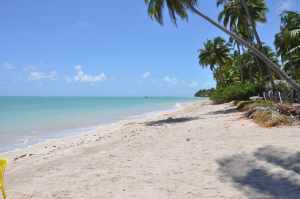 Praia Ponta de Mangue  - Praias-360