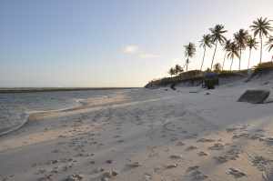 Praia Saco da Pedra  - Praias-360