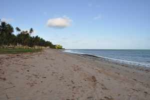 Praia do Patacho 