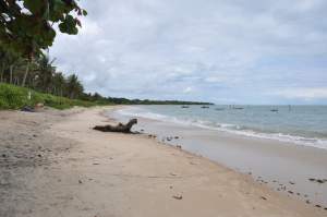 Praia dos Pescadores  - Praias-360