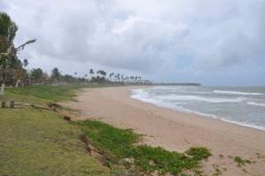 Praia do Surf  - Praias-360