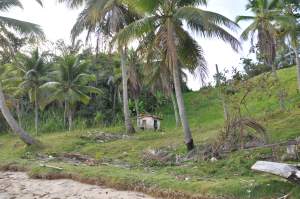 Praia da Ponta da Pedreira - Praias-360