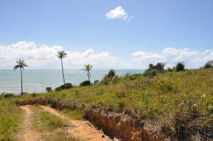 Praia Dois Irmãos  - Praias-360