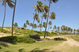 Praia de Massarandupió  - Praias-360