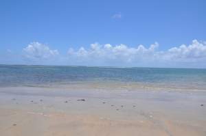 Praia de Tassimirim  - Praias-360