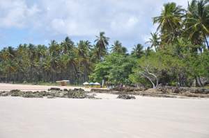 Praia de Tassimirim - Praias-360