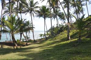 Praia do Havaizinho