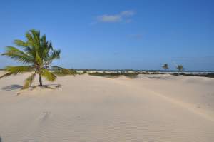 Praia de Mangue Seco  - Praias-360