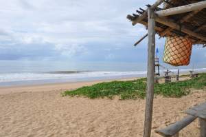 Praia da Jacutinga  - Praias-360