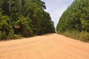 Praia do Coqueiro