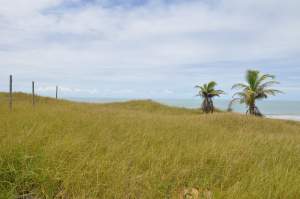 Praia Enseada das Gaivotas  - Praias-360