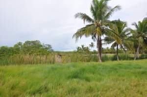 Praia do Sabacuí