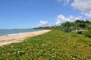 Praia de Curuí­pe  - Praias-360