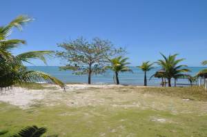 Praia de Ponta Grande  - Praias-360