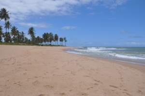 Praia de Stella Maris  - Praias-360