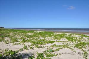 Praia de Santo Antônio