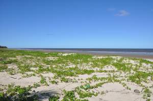 Praia de Santo Antônio  - Praias-360