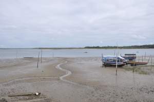 Praia de Jiribatuba  - Praias-360