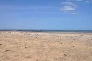 Praia de Pitupitá