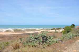 Praia de Morro Branco - Praias-360