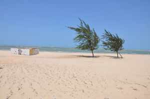 Praia das Carnaúbas  - Praias-360