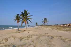 Praia do Cumbuco Final - Praias-360