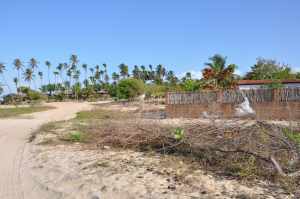 Praia de Jericoacoara - Praias-360