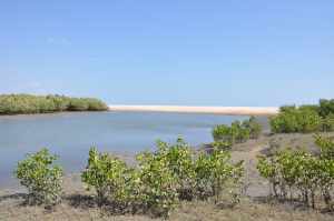 Praia da Barra do Rio Curu