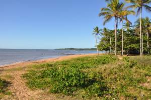 Praia do Coqueiral - Praias-360