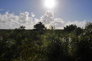 Praia de Pontal do Sul  - Praias-360