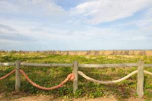 Praia do Farol  - Praias-360