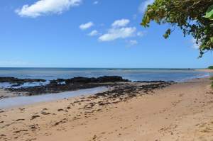 Praia Enseada das Garças