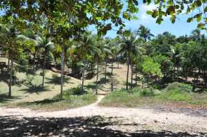 Praia dos Padres - Praias-360