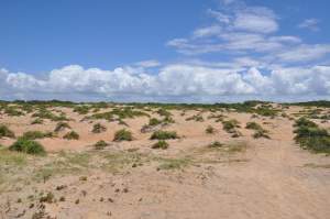 Praia de Degredo  - Praias-360