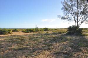 Praia de Regência  - Praias-360