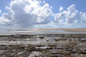 Praia de Barra Nova do Sul  - Praias-360