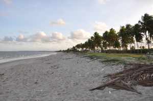 Praia de Acaú 