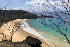 Praias de Fernando de Noronha - Praias-360