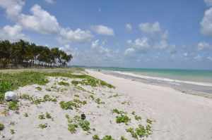 Praia Pontal do Jaguaribe 