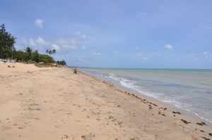 Praia de Marinha Farinha 