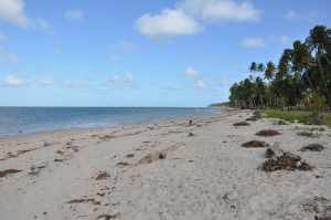 Praia de Carneiros 