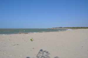 Praia de Barra Grande