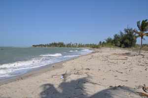 Praia de Barrinha - Praias-360