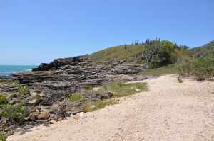 Praia Foca - Praias-360