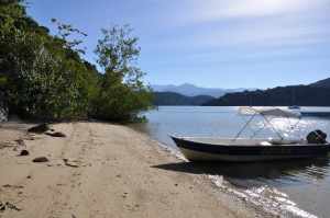 Praia da Cotia  - Praias-360